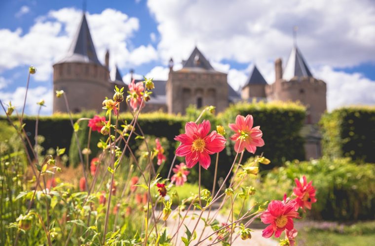 Tuinsafari Muiderslot