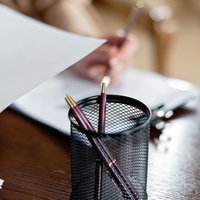 Makkelijk Nederlands schrijven — lezing in Bussum
