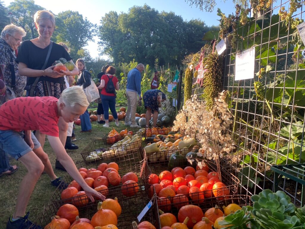 Pompoenendag Kindertuinen in Bussum
