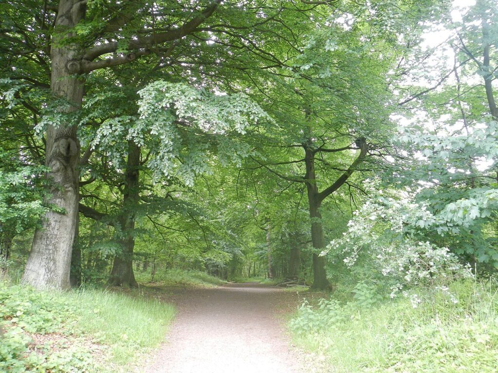 Mindful audiowandeling Muiderslot in Bussum